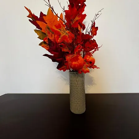 Dragonfly Διαμέρισμα Arcola