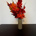 Dragonfly 아파트 아르콜라