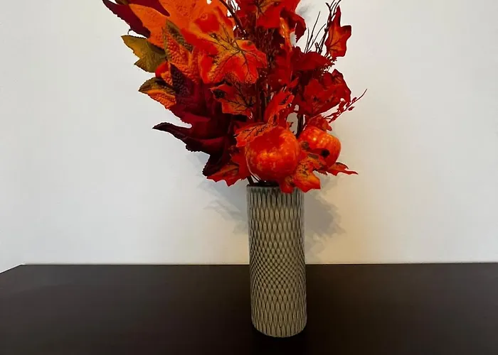 Dragonfly Appartement Arcola